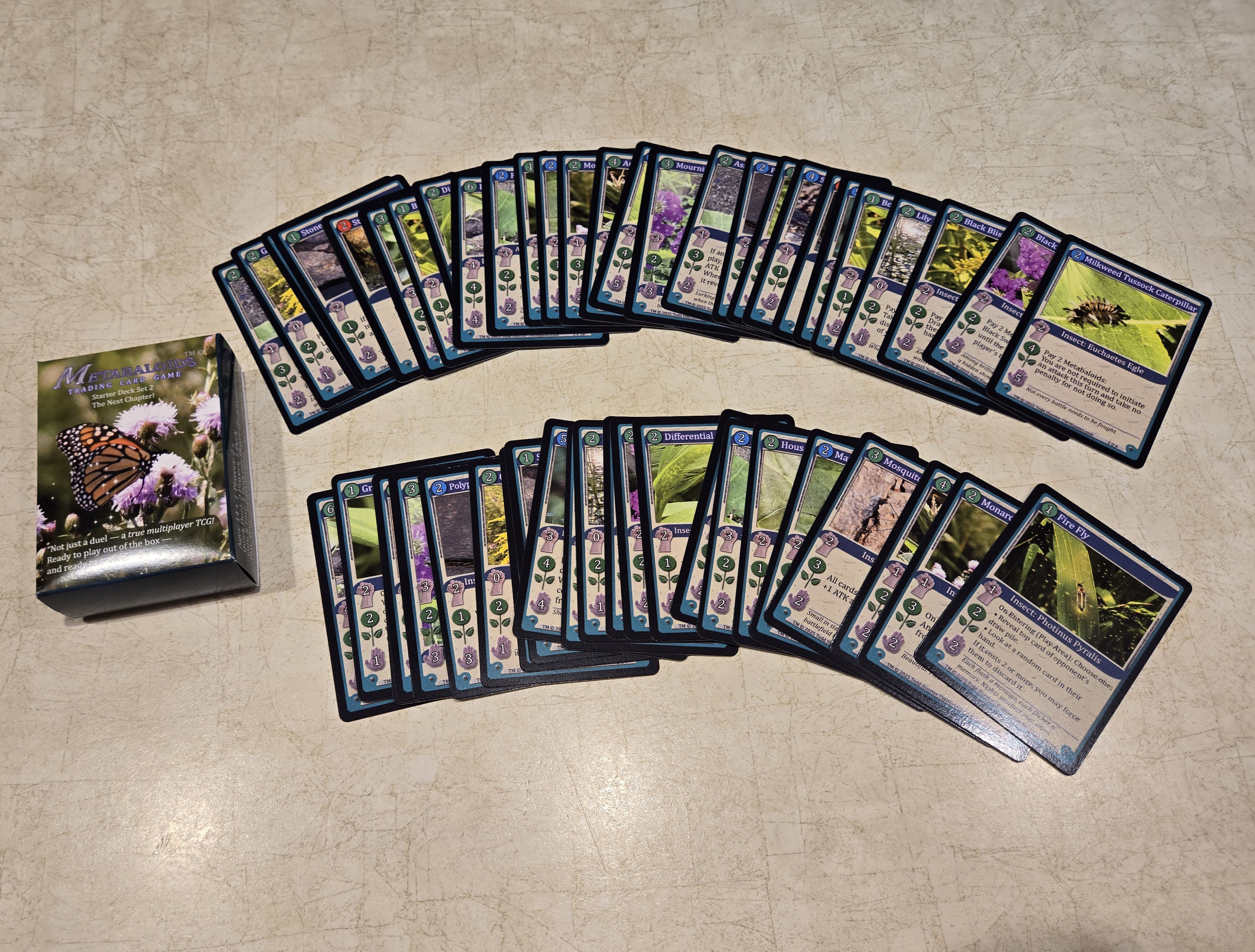 Starter Set 2 Cards