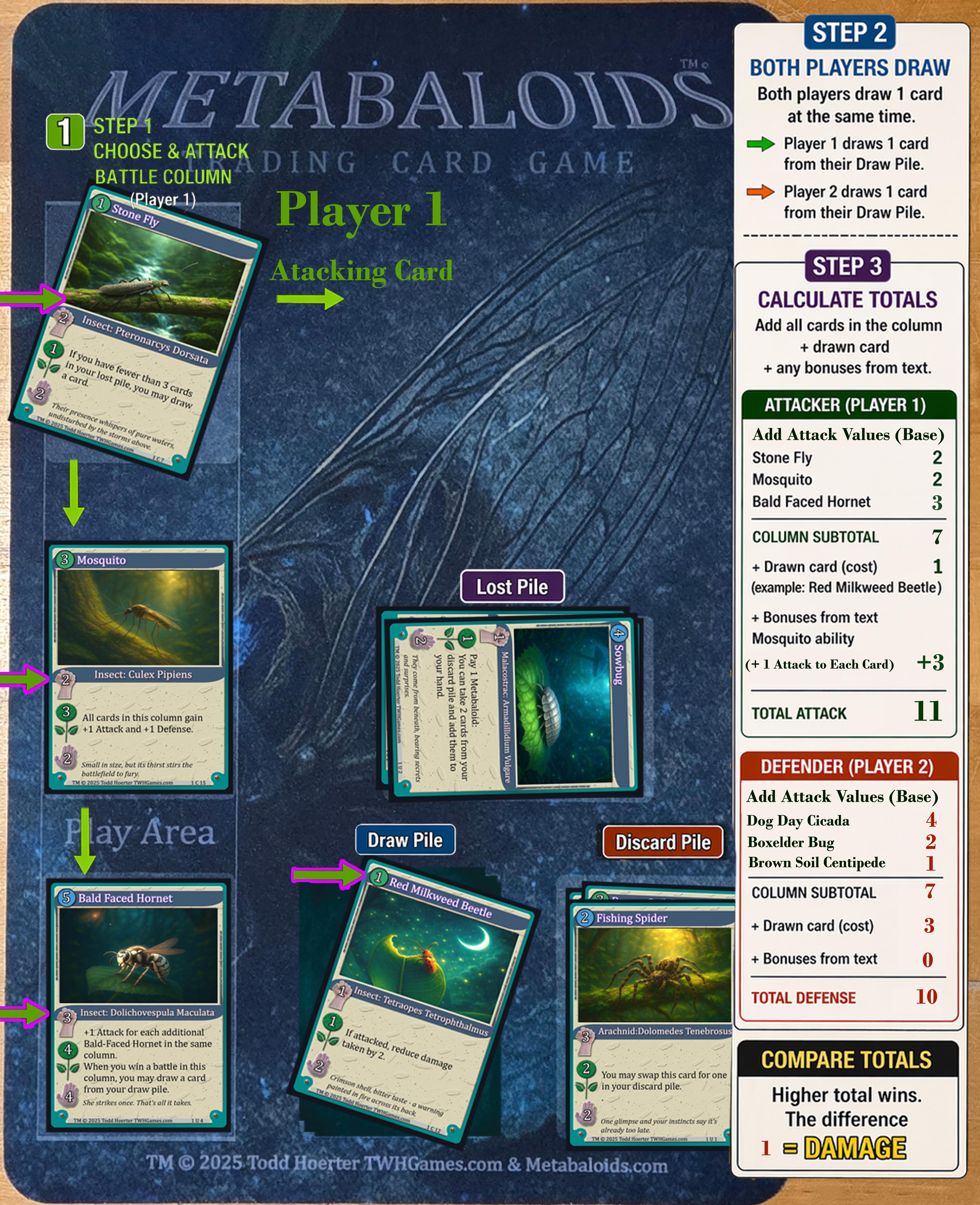 Playmat Setup